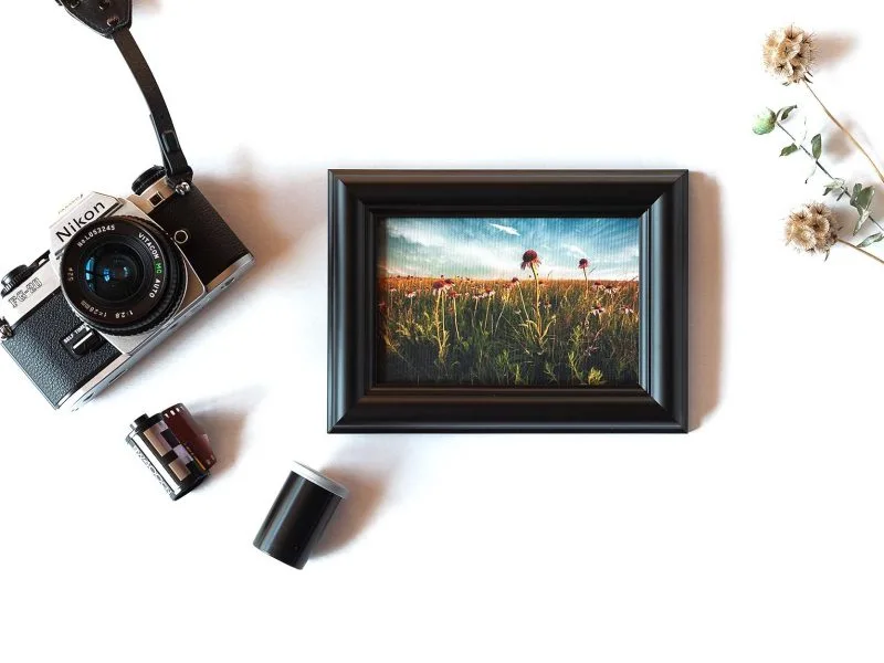 Rejoicing Framed Mini Canvas Print